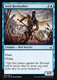 MTG 分岐する嵐、アラニア レイズド Foil Alania 英語 分岐する嵐、アラニア (Alania, Divergent Storm) · Bloomburrow