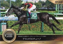 EPOCH ホースレーシング 2024 下半期総集編 #80 京成杯オータムH アスコリピチェーノ レギュラーカード