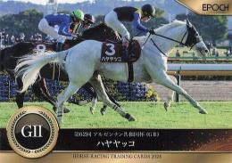 EPOCH ホースレーシング 2024 下半期総集編 #99 アルゼンチン共和国杯 ハヤヤッコ レギュラーカード