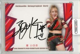 2025 BBM 女子プロレスカード 星いぶき 直筆サインカード【012/100】