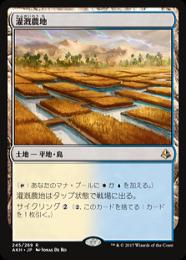 【AKH】【JPN】【Foil】《灌漑農地/Irrigated Farmland》プレリリース