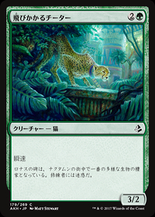 【美品】Weatherlight カードバインダー 激レア mtg Magic the Gathering Weatherlight Magic the Gathering