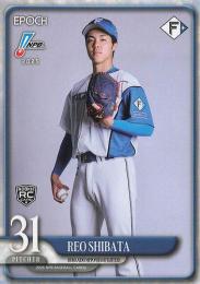 2025 EPOCH NPBプロ野球 #155 柴田獅子(日本ハム) レギュラーカード RC