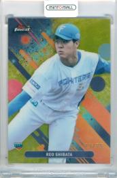 2025 TOPPS NPB FINEST 柴田獅子 #196 Base Yellow Refractor Parallel【23/75】 日本ハム