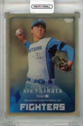 2026 BBM 北海道日本ハムファイターズ 柴田獅子 レギュラーカード 金紙版【189/200】