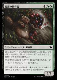 【BLB】【JPN】【Foil】《屍苺の耕作者/Corpseberry Cultivator》