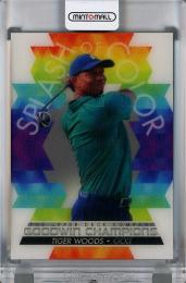 2022 Upper Deck Goodwin Champions  Tiger Woods Splash of Color 3-D Lenticular #LSTW