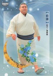 2025 BBM 大相撲カード「和」#14 高安晃(前頭) レギュラーカード