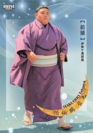 2025 BBM 大相撲カード「和」#24 柏桜鵬哲也(前頭) レギュラーカード