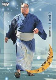 2025 BBM 大相撲カード「和」#41 白熊優太(前頭) レギュラーカード