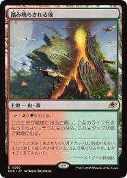 ◆予約◆【EOE】【JPN】〈258-L〉《踏み鳴らされる地/Stomping Ground》