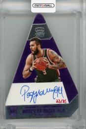 2013-14 Panini Preferred Miroslav Raduljica Purple #104 RC Auto【23/25】 Milwaukee Bucks