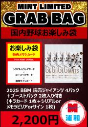 【国内野球お楽しみ袋】2025 BBM 読売ジャイアンツ 4パック + ブーストパック1個 (2枚入)