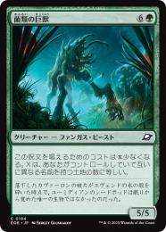◆予約◆【EOE】【JPN】〈184-G〉《菌類の巨獣/Fungal Colossus》