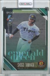 2026 Epoch NPB 谷端将伍 EMERALD GREEN【07/50】 阪神タイガース