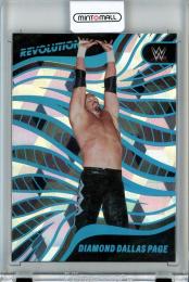 2023 Panini Revolution WWE  Diamond Dallas Page Base Cubic Parallel 17/49