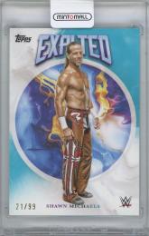 2025 TOPPS Exalted WWE Aqua #5 / SHAWN MICHAELS 【21/99】