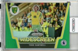 2021-22 Panini Prizm English Premier League Todd Cantwell Widescreen Prizms Green #2【4/5】