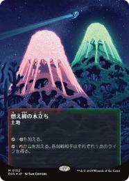 【EOS】【JPN】【ギャラクシーFoil】〈152-L〉《燃え柳の木立ち/Grove of the Burnwillows》ボーダーレス版