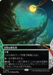 ◆予約◆【EOS】【JPN】〈039-L〉《活発な野生林/Stirring Wildwood》
