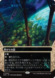 ◆予約◆【EOS】【JPN】〈042-L〉《群がりの庭/Swarmyard》