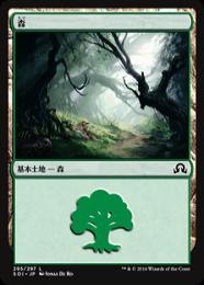 【SOI】【JPN】《森/Forest》No.295