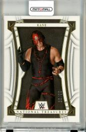 2023 PANINI CHRONICLES NATIONAL TREASURES Kane Gold【35/99】