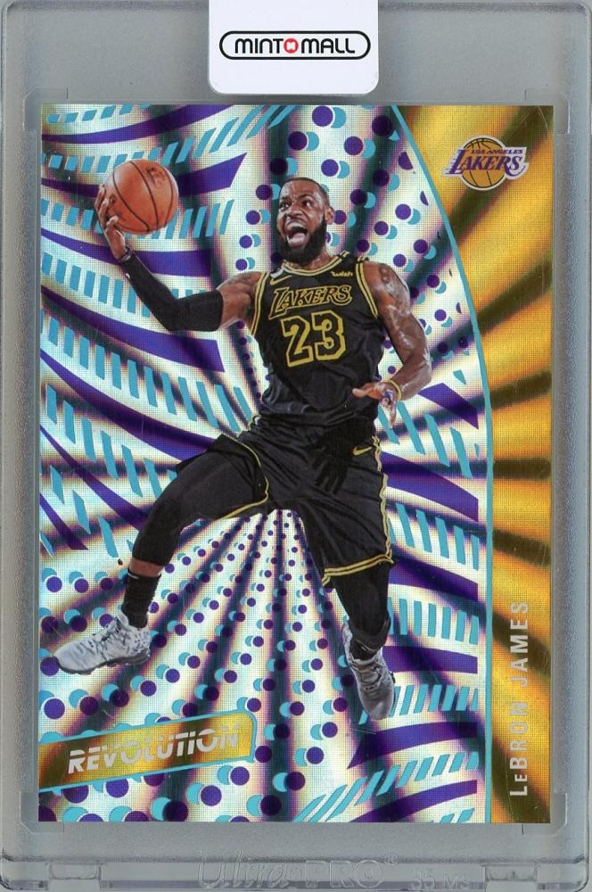 PANINI NBAカードレブロン・ジェームズ UD GAME JERSEY ミントモール