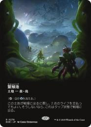 ◆予約◆【EOE】【JPN】〈278-L〉《繁殖池/Breeding Pool》ボーダーレス版