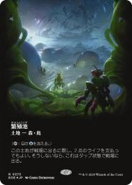 ミントモール / MINT GAMES MTG(東日本橋) / 【RVR】【ENG