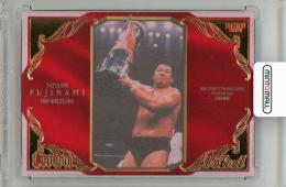 2024 BBM Crown 藤波辰爾 VELVET #VE45【06/20】 プロレス