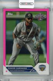 2023 Topps Pro Debut Junior Caminero Fuchsia #PD-139【093/199】 Charleston Riverdogs