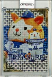 2025 BBM 横浜DeNAベイスターズ  DB.スターマン TREASURE【18/25】