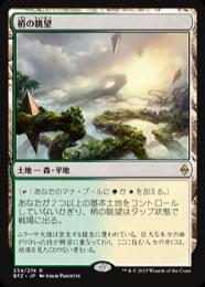 【BFZ】【JPN】【Foil】《梢の眺望/Canopy Vista》