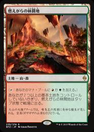 【BFZ】【JPN】《燃えがらの林間地/Cinder Glade》