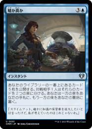 MTG 日本語 嘘か真か Foil 嘘か真か [INV] 【BIGWEB | MTG】日本最大級の激安カードゲーム