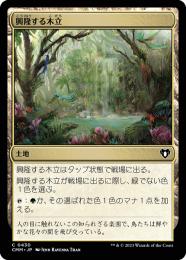 【CMM】【JPN】【Foil】《興隆する木立/Thriving Grove》