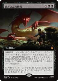 【HOB】【JPN】〈296-M-B〉《踏み込んだ情報/Inside Information》拡張アート版