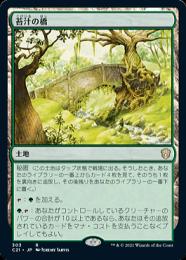 【C21】【JPN】《苔汁の橋/Mosswort Bridge》