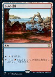 アポカリプス シヴの浅瀬 foil 日本語 EDH ミントモール / MINT GAMES MTG(東日本橋) / 【OTC】【JPN