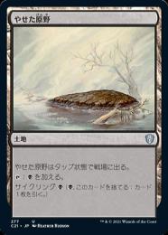 【C21】【JPN】《やせた原野/Barren Moor》