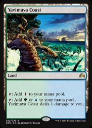 MTG/ヤヴィマヤの沿岸/FOIL/アポカリプス ミントモール / MINT GAMES MTG(東日本橋) / 【DMU】【JPN