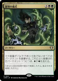 【まとめ買い】 ミントモール 【STX】【JPN / MTG(東日本橋) GAMES MINT / マジック：ザ・ギャザリング