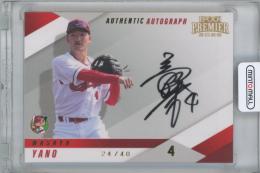 2025 EPOCH 広島東洋カープ PREMIER EDITION / 矢野雅哉 ゴールド版AUTHENTIC AUTOGRAPH直筆サインカード 【09/20】