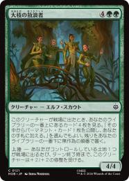 ◆予約◆【HOB】【JPN】〈121-C-G〉《大枝の放浪者/Boughside Wanderers》