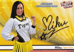 2019BBM チアリーダー「Dancing Heroine-舞-」 Tigers Girls Miku 直筆サインカード 26/60