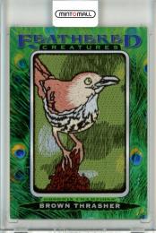 2021 UPPER DECK GOODWIN CHAMPIONS  Brown Thrasher FC-18 Feathered Creatures