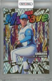 2026 BBM 北海道日本ハムファイターズ 柴田獅子 My Fave【13/50】