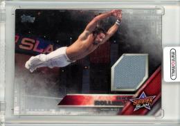 2015 Topps WWE  Seth Rollins Summerslam Mat Relic 22/25