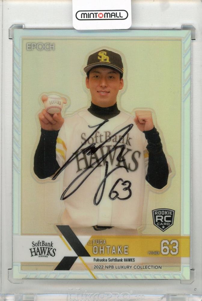 真作 阪井田勇 水彩 フレデリクスボルグ城 自筆サイン 落款 F4色紙 額装 真作 阪井田勇 水彩 フレデリクスボルグ城 自筆サイン 落款 F4